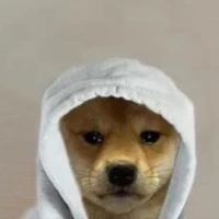 Hondenlover123