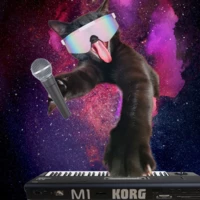 FunkyCat