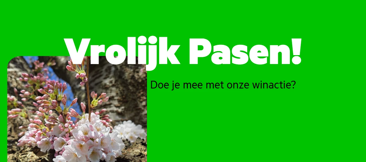 Pasen winactie! Raad jij het aantal paaseitjes?