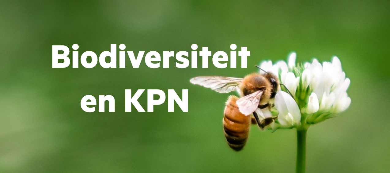 Biodiversiteit en KPN: vergroening van bestaande infrastructuur