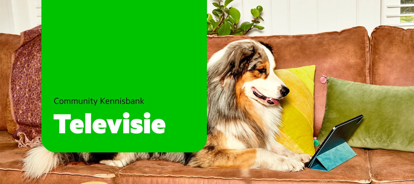 Problemen met opnames bij KPN? Zo los je ze stap voor stap op!