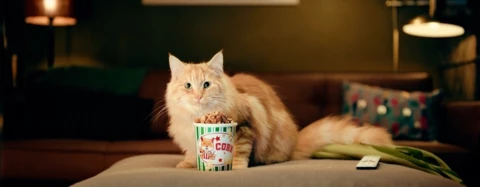 Een virtueel bezoekje achter de voordeur: hoe kijk jij televisie?