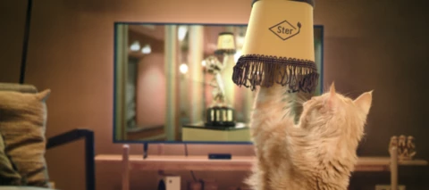 We gaan voor een Gouden Loeki! Stem op Louis