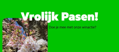 [Gesloten] Pasen winactie! Raad jij het aantal paaseitjes?