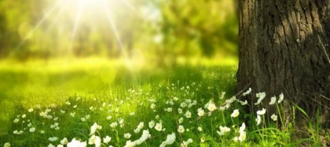 Het Digitenne-seizoen staat weer voor de deur