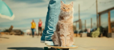 Nieuwe data voordeelbundels voor populaire vakantiebestemmingen