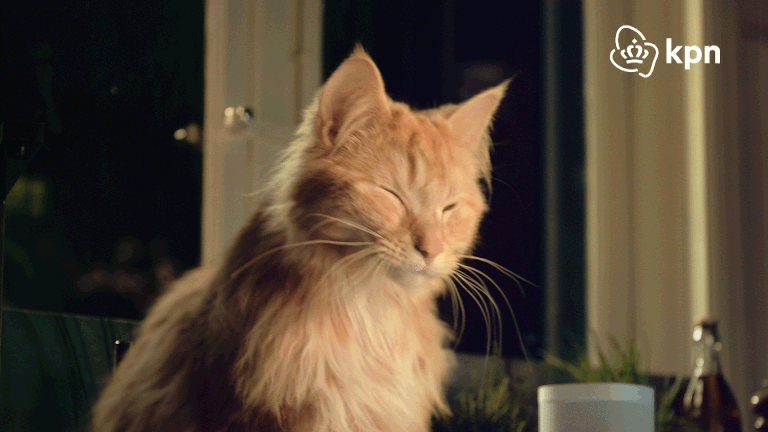 Doe je mee aan de Eindejaarsdwaling 2024?