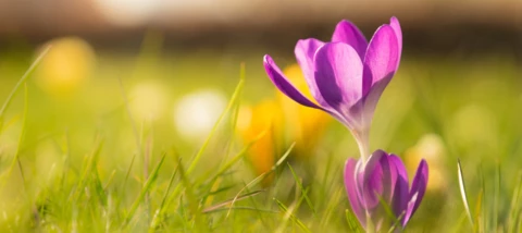 Dubio op Donderdag - Wat ga jij als eerste weer doen?