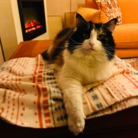 Corrieke van der Kruk