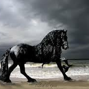 Friesian