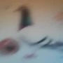 Pet 55