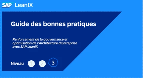 Guide des bonnes pratiques : Renforcement de la gouvernance et optimisation de l'Architecture d'Entreprise avec SAP LeanIX (Niveau 3/3 - Expert)
