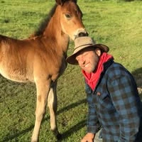 Natural Horse Whisperer