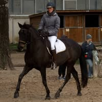 Virginie