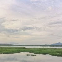 TanLamHin