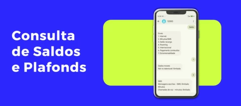 Consulta de Saldos e Plafonds
