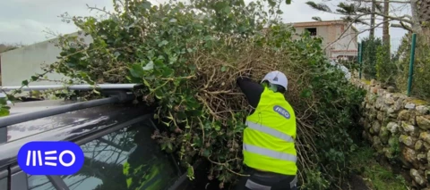 ⚠️ Impacto da depressão Kristin