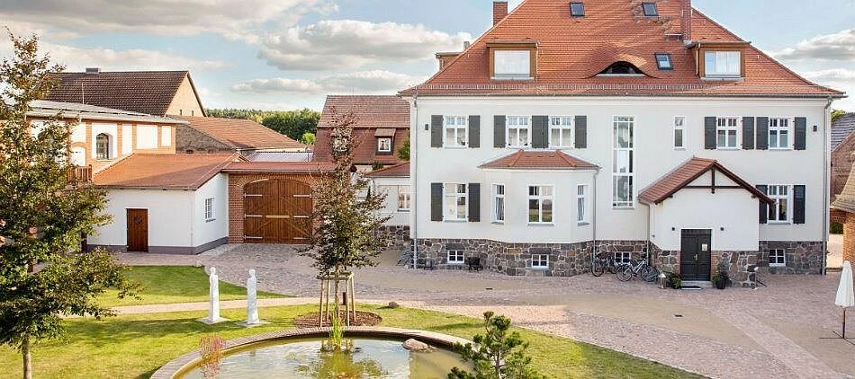 Celebrating Your Success: Inspiring Stories from Our Mews Community