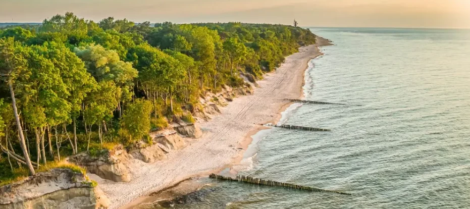 Elevate Your Hospitality Game: Join Us for Baltic Coast Hotel 2025 - Strategies for Success!