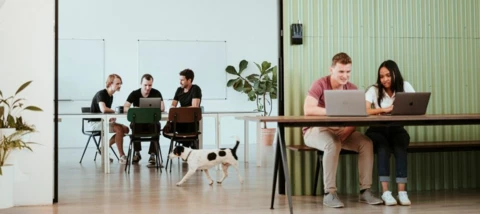 Mastering Hospitality Playbook: Customize Your Game Plan with Mews!
