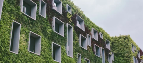 Tell us what your sustainability practices are and we'll plant a tree!