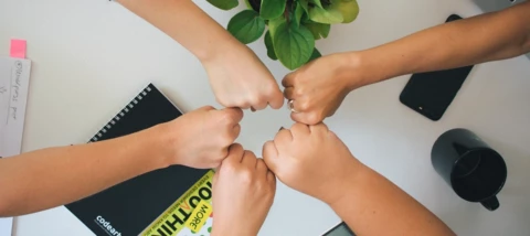 Meet the Mews Community Ambassadors! 🤝