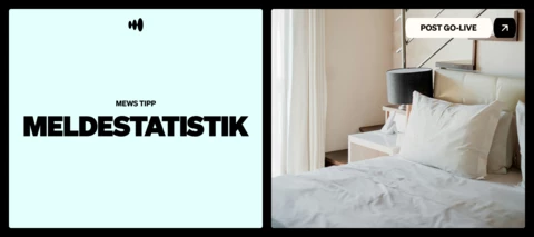 Meldestatistik in Mews: wie kommt ihr an eure Daten?
