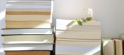 Don’t get ‘path-locked’: Unlock your learning with Mews University, one course at a time