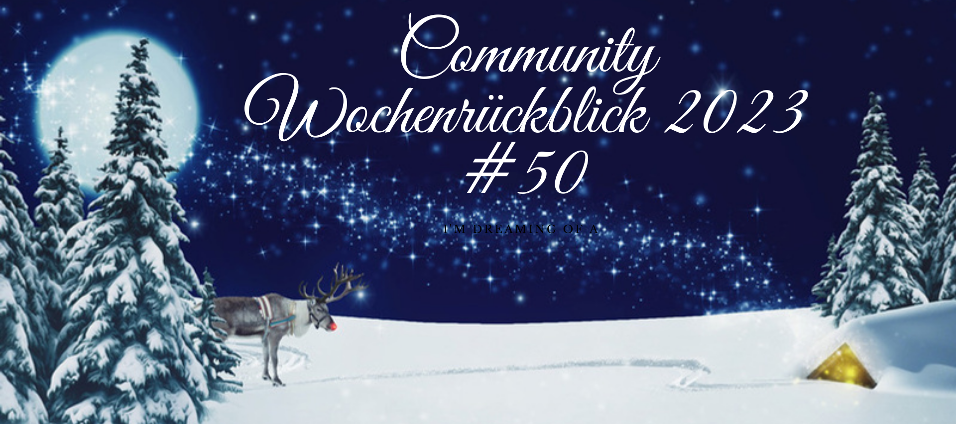Community Wochenrückblick 2023 #50 - Es weihnachtet sehr 🎄