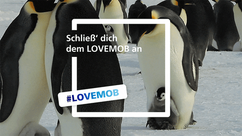 How-to #LOVEMOB: Werdet Teil der Bewegung