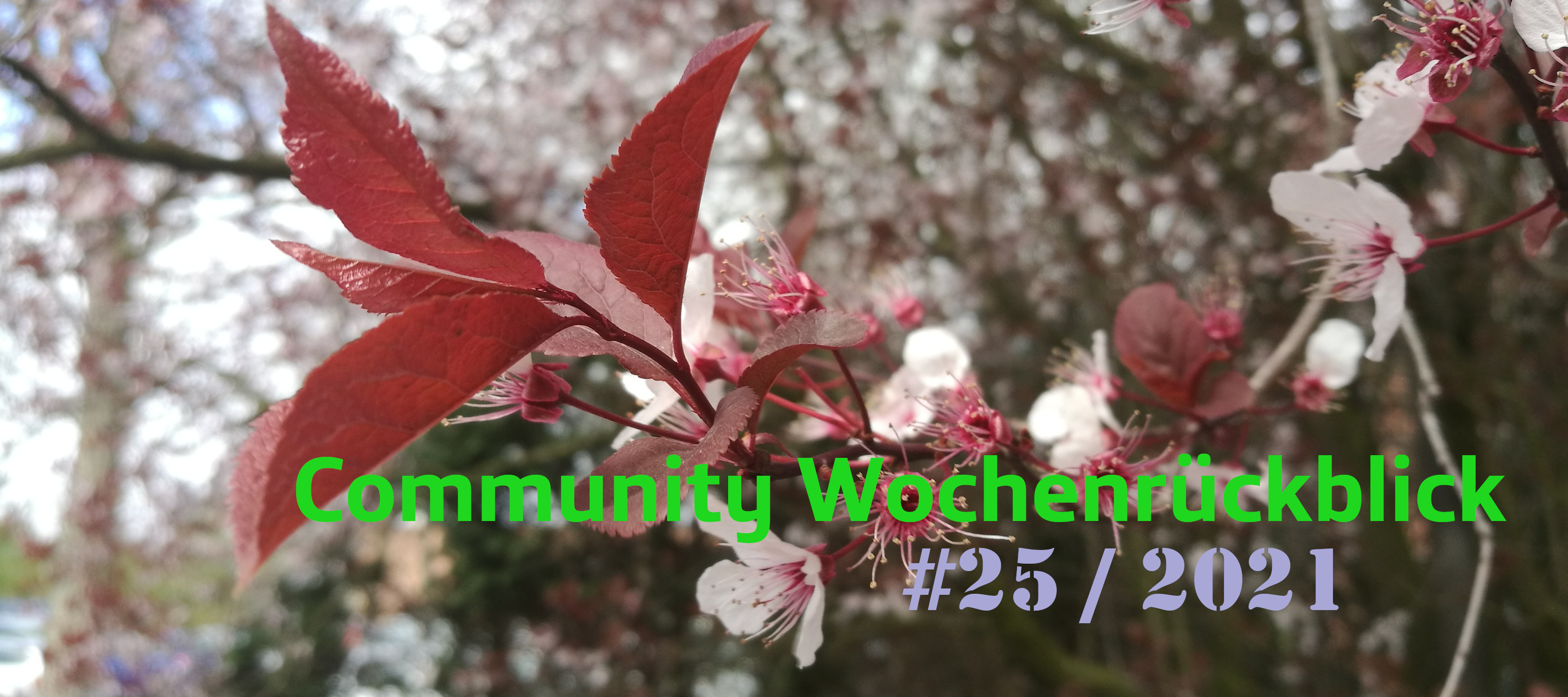 Community Wochenrückblick #25 2021