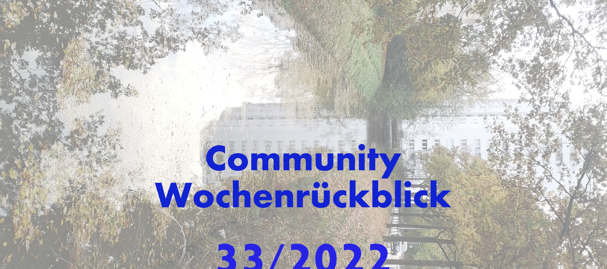 Community Wochenrückblick #33/2022