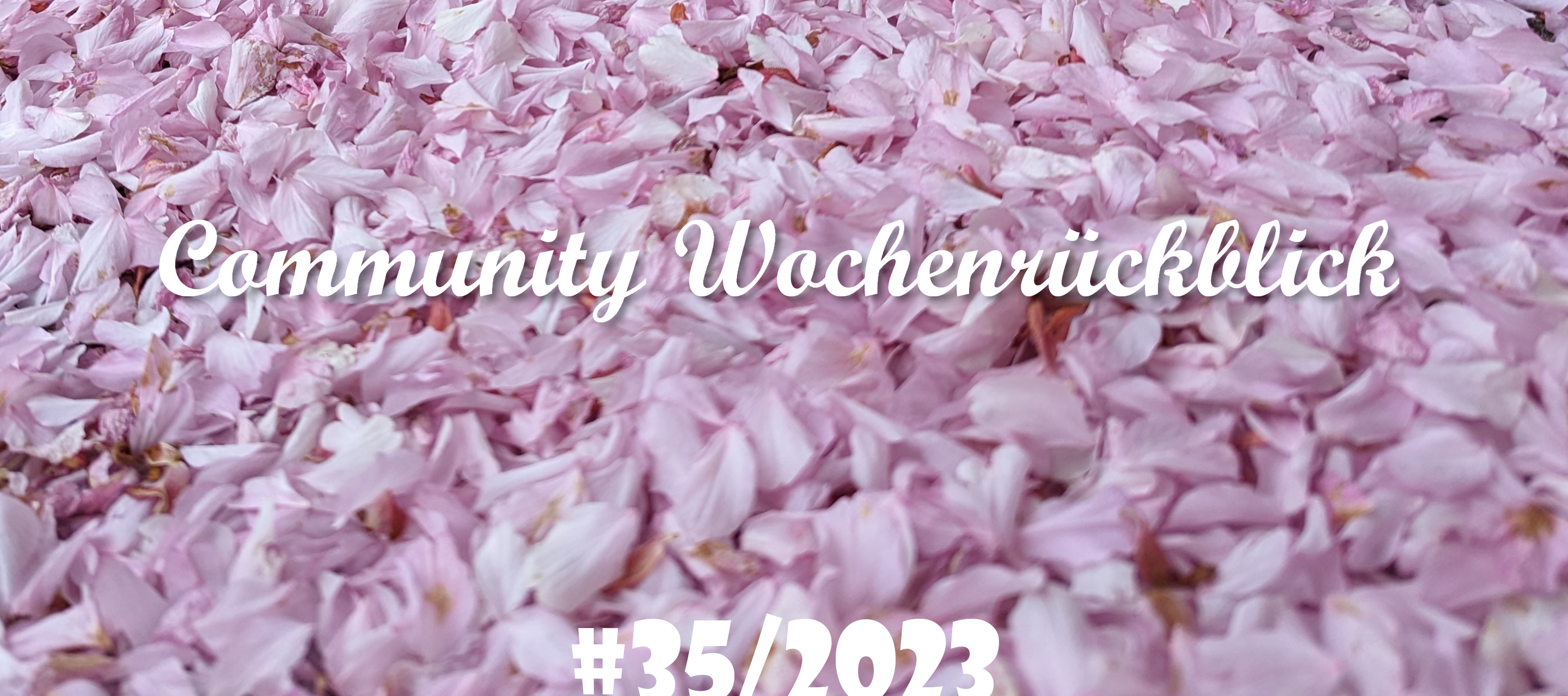 Community Wochenrückblick #35 - Pretty in Pink