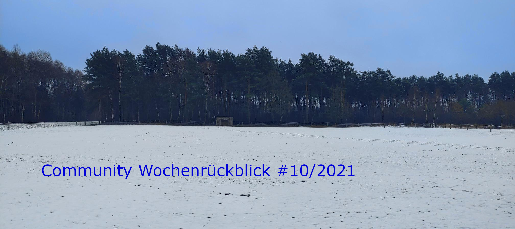 Community Wochenrückblick #10/2021