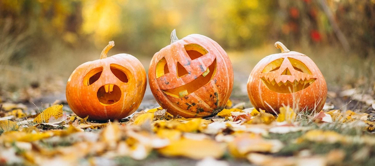 Zauberhafte Kürbis-Kreationen & Rezepte 🎃