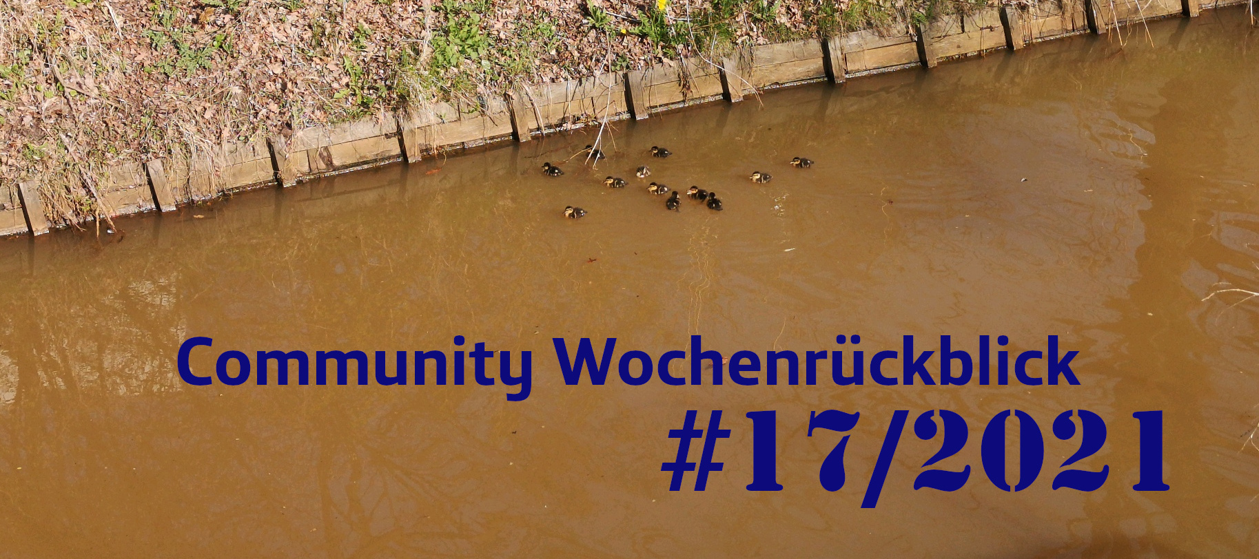 Community Wochenrückblick #17/2021