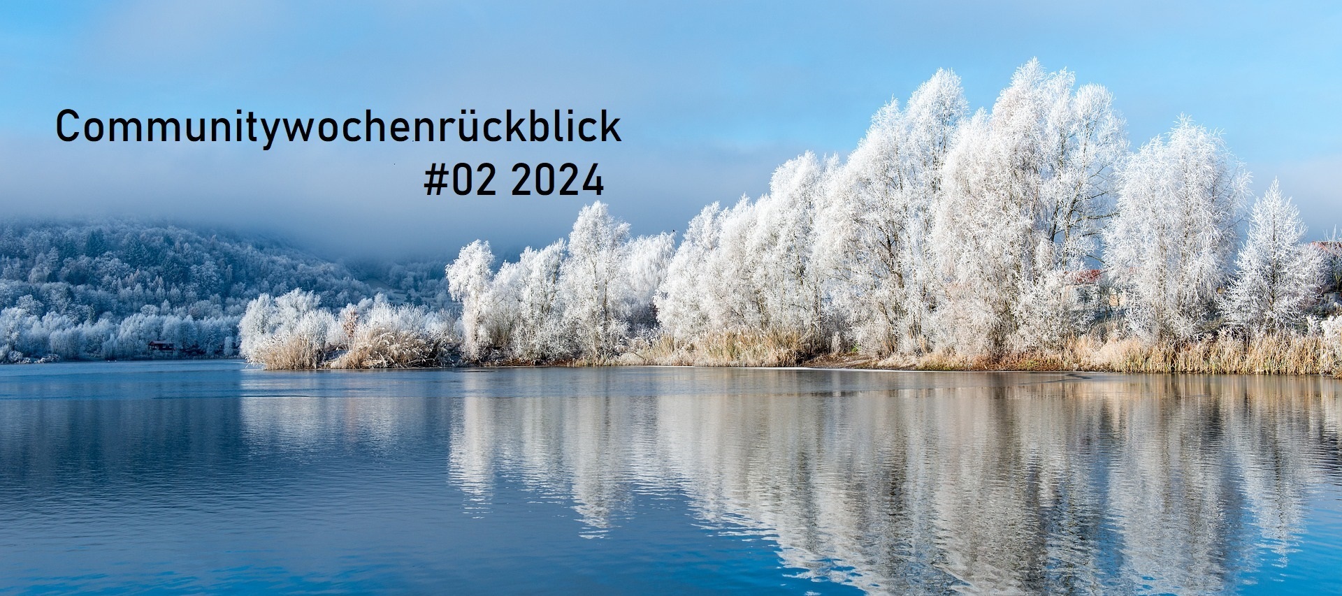 Community Wochenrückblick 2024 #2