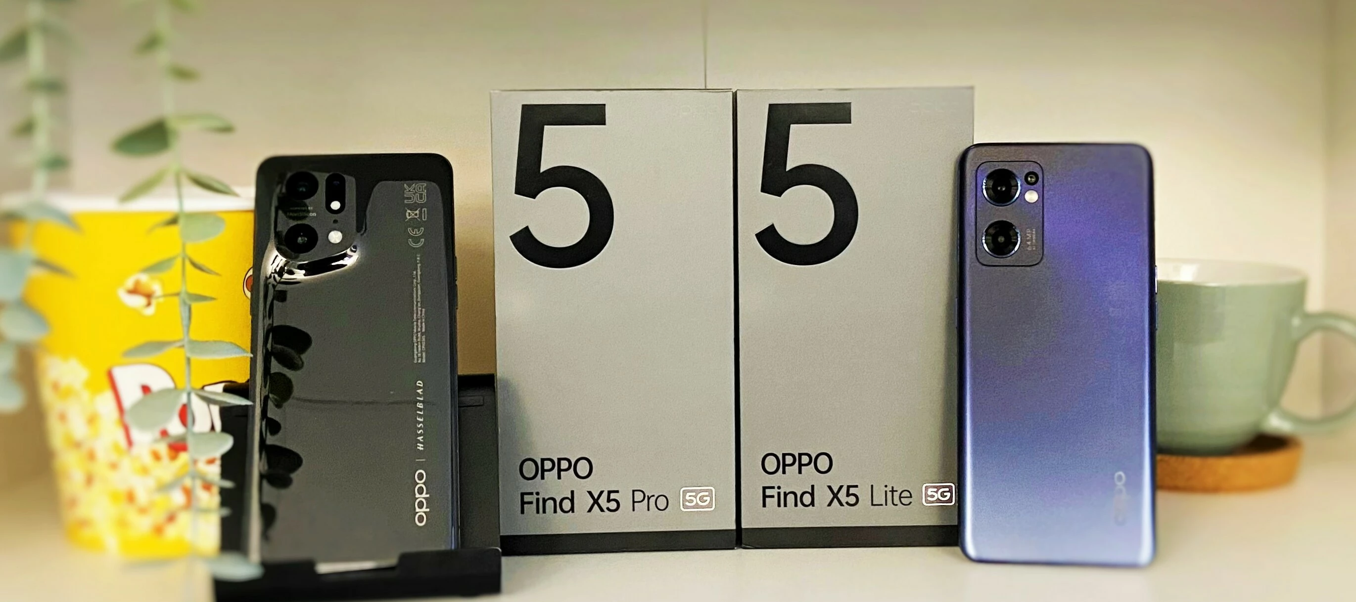 Custodia Oppo Find X5 Sfumata: Cover In Vetro Temperato E Silicone Morbido, Protezione Anti-Urto E Antigraffio