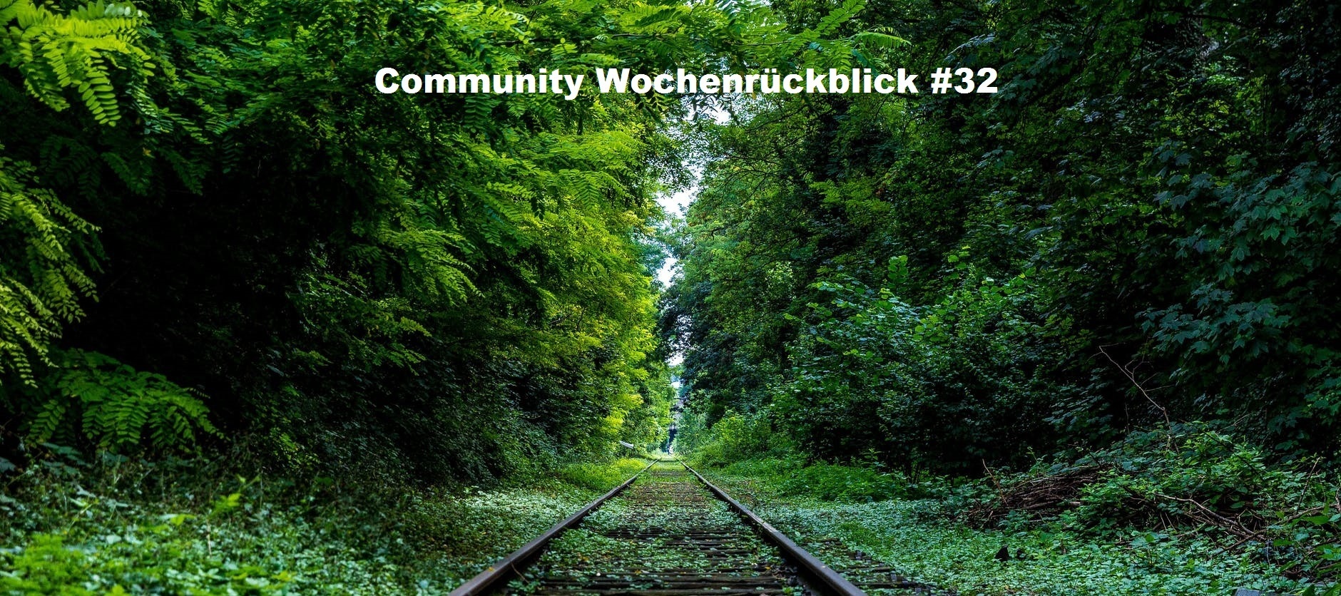 Community Wochenrückblick #32