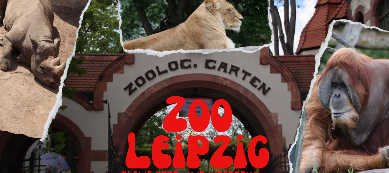 Ein Besuch im Leipziger Zoo
