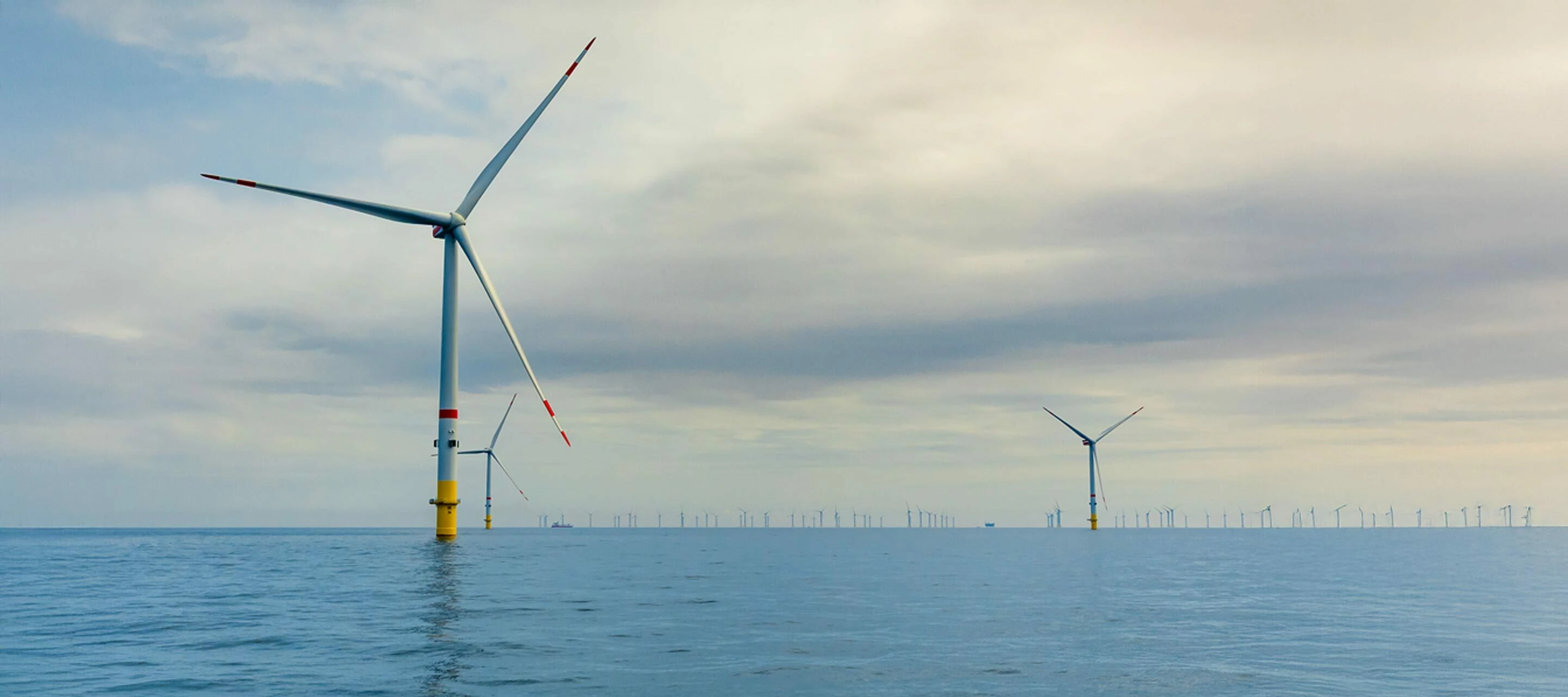 Grüner Strom für dein Netz - O₂ setzt auf Windkraft