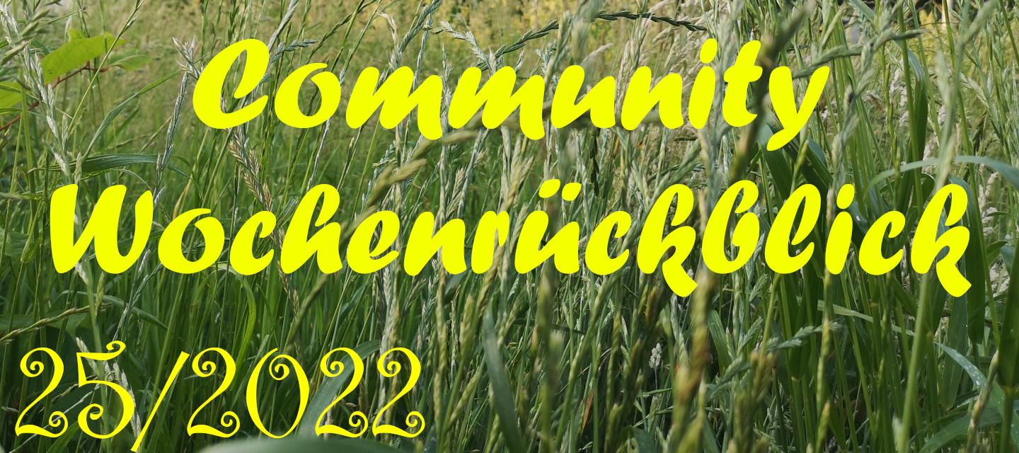 Community Wochenrückblick #25/2022