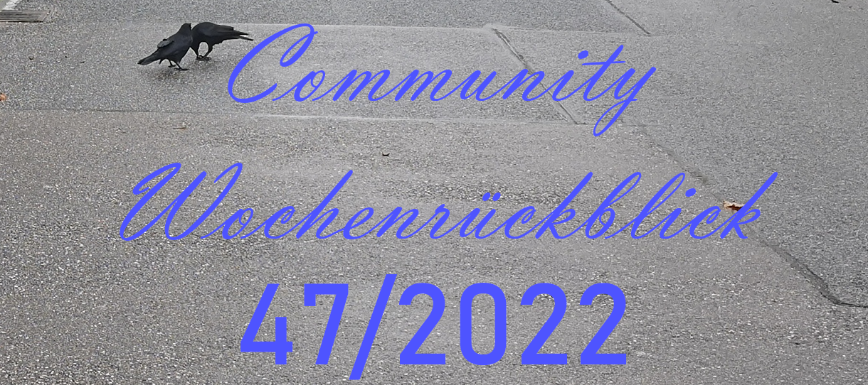 Community Wochenrückblick #47/2022