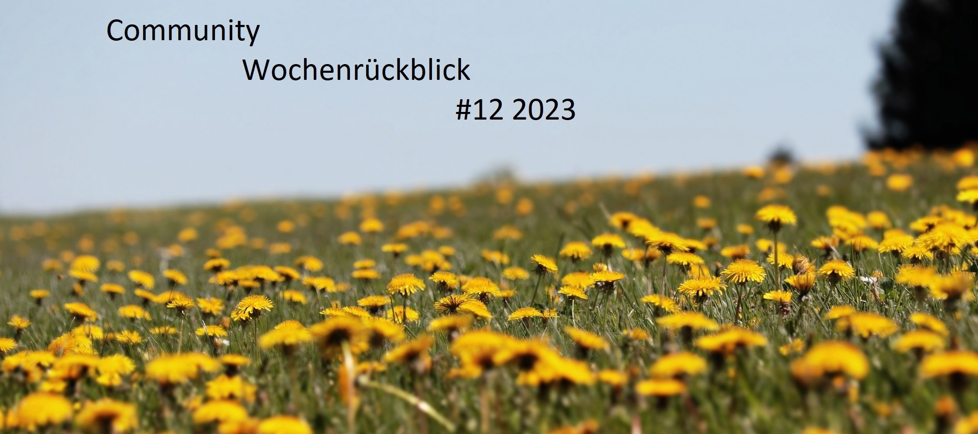 Community Wochenrückblick #12 2023