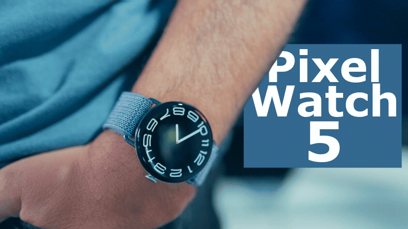 Google Pixel Watch 5 im 7-Tage-Check: Evolution am Handgelenk oder nur ein teures Update?