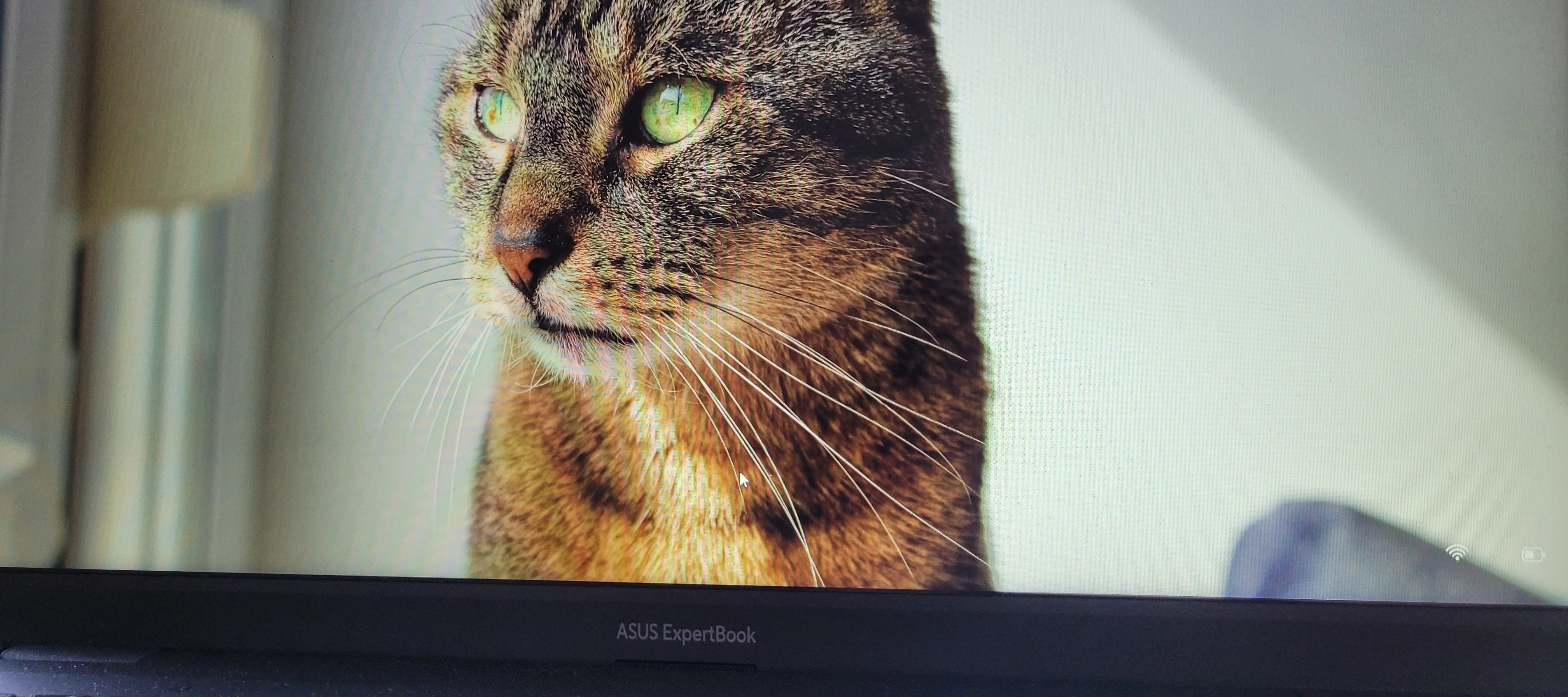 Testbericht: Asus ExpertBook B1