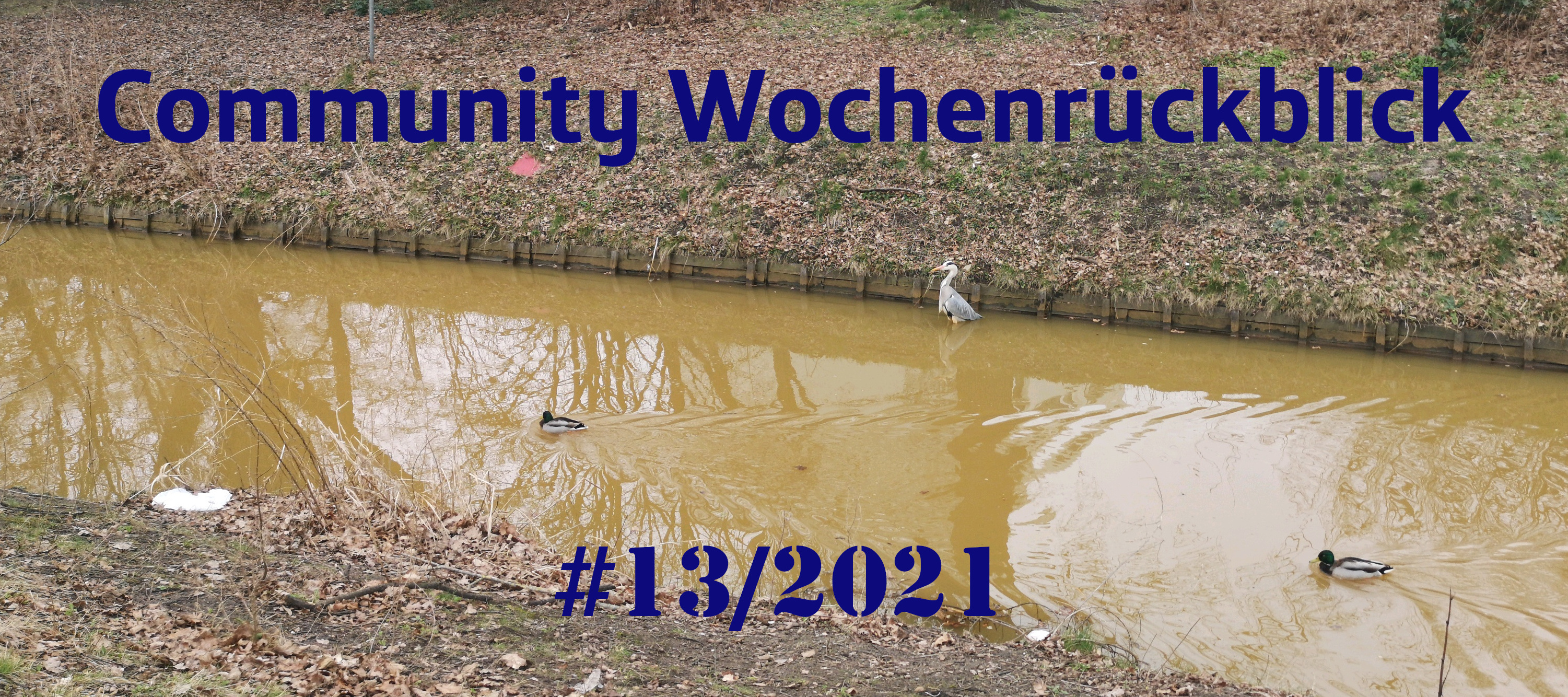 Community Wochenrückblick #13/2021