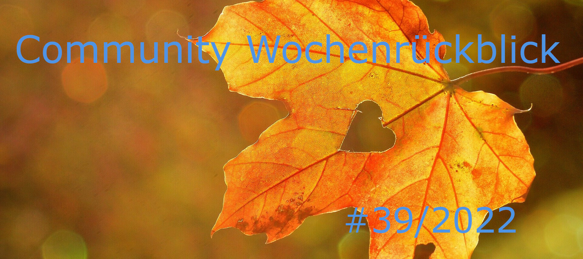 Community Wochenrückblick #39/2022