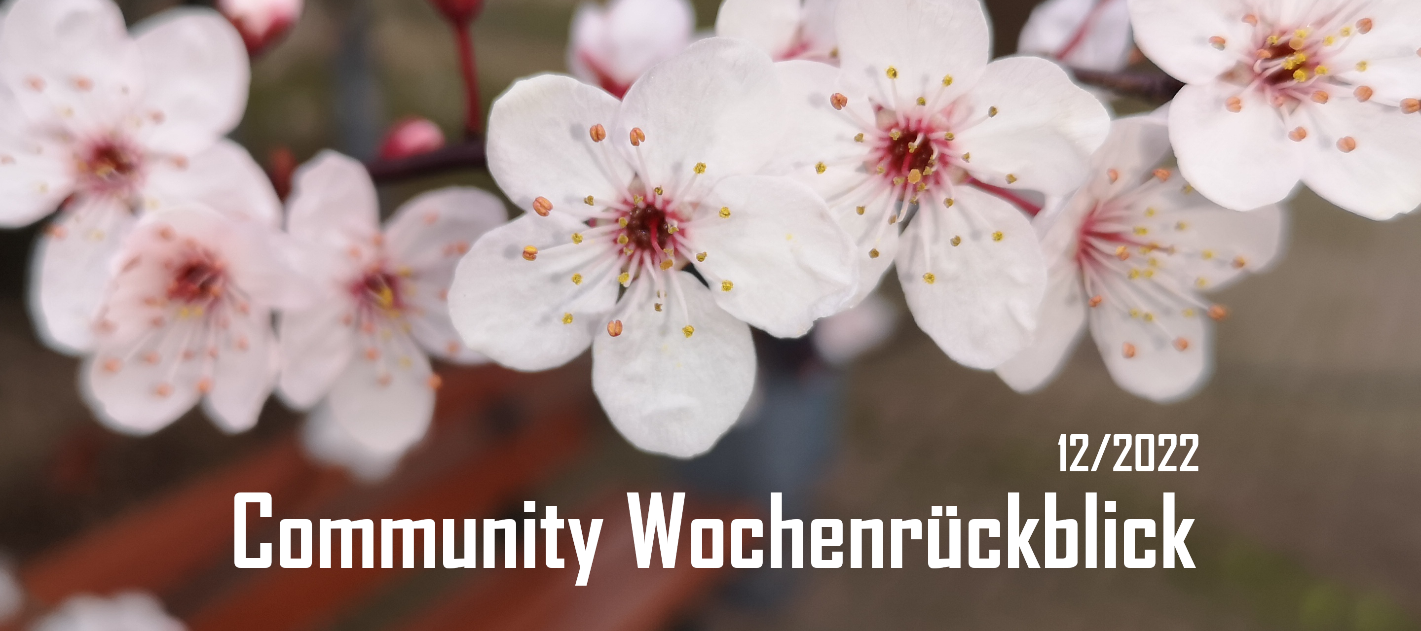 Community Wochenrückblick #12/2022