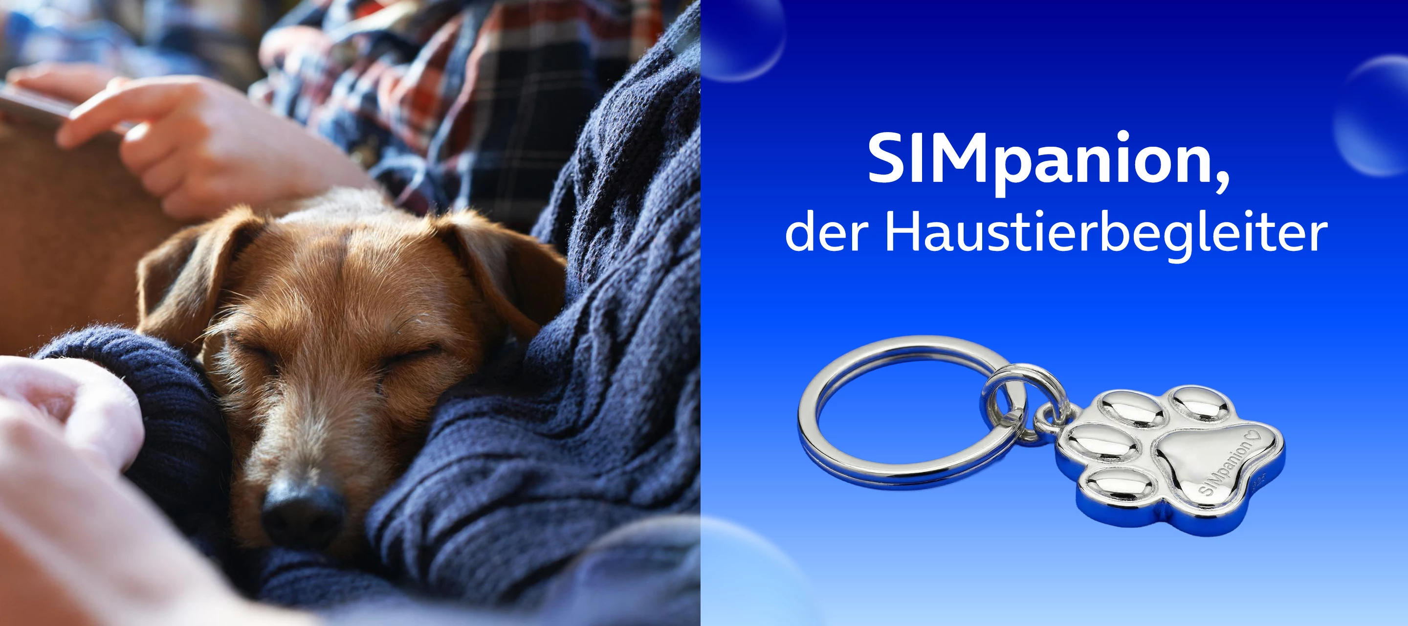 Artikelbild zu "SIMpanion - der Haustierbegleiter"